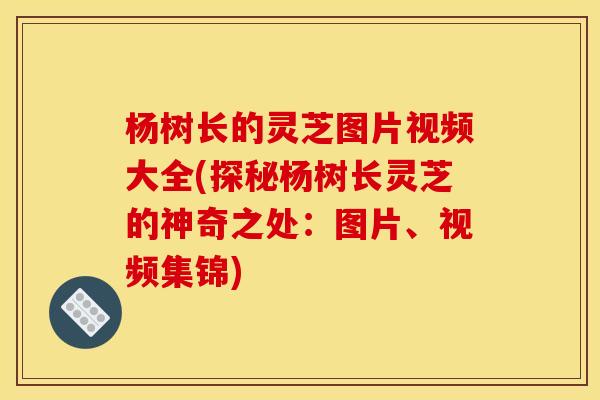 杨树长的灵芝图片视频大全(探秘杨树长灵芝的神奇之处:图片、视频集锦) 杨树长的灵芝图片视频大全(探秘杨树长灵芝的神奇之处:图片、视频集锦)