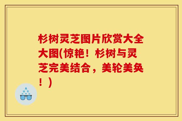 杉树灵芝图片欣赏大全大图(惊艳!杉树与灵芝完美结合,美轮美奂!) 杉树灵芝图片欣赏大全大图(惊艳!杉树与灵芝完美结合,美轮美奂!)
