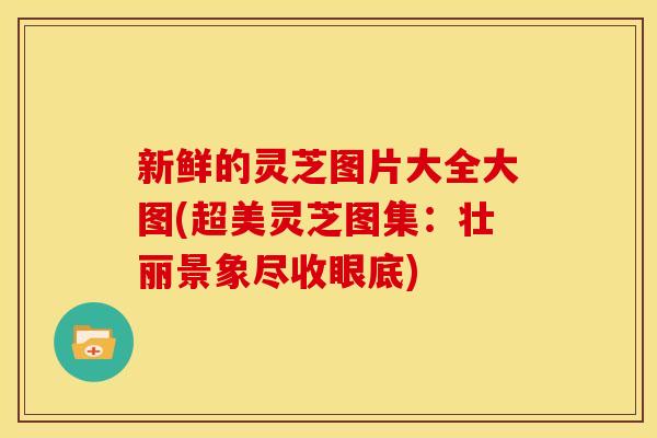 新鲜的灵芝图片大全大图(超美灵芝图集:壮丽景象尽收眼底) 新鲜的灵芝图片大全大图(超美灵芝图集:壮丽景象尽收眼底)