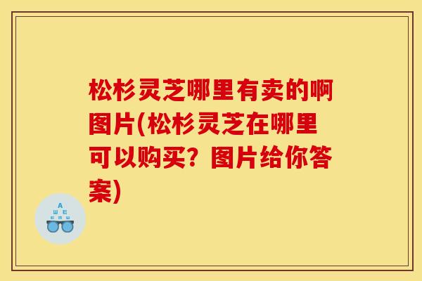 松杉灵芝哪里有卖的啊图片(松杉灵芝在哪里可以购买?图片给你答案) 松杉灵芝哪里有卖的啊图片(松杉灵芝在哪里可以购买?图片给你答案)