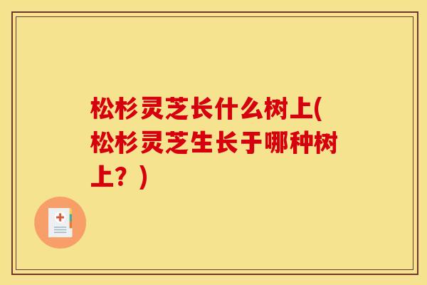 松杉灵芝长什么树上(松杉灵芝生长于哪种树上?) 松杉灵芝长什么树上(松杉灵芝生长于哪种树上?)