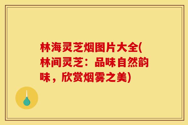 林海灵芝烟图片大全(林间灵芝:品味自然韵味,欣赏烟雾之美) 林海灵芝烟图片大全(林间灵芝:品味自然韵味,欣赏烟雾之美)