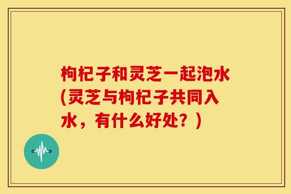 枸杞子和灵芝一起泡水(灵芝与枸杞子共同入水,有什么好处?) 枸杞子和灵芝一起泡水(灵芝与枸杞子共同入水,有什么好处?)