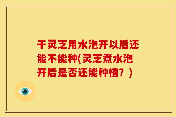 干灵芝用水泡开以后还能不能种(灵芝煮水泡开后是否还能种植?) 干灵芝用水泡开以后还能不能种(灵芝煮水泡开后是否还能种植?)