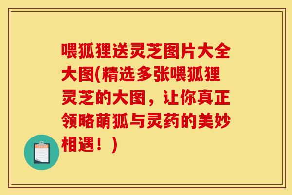喂狐狸送灵芝图片大全大图(精选多张喂狐狸灵芝的大图，让你真正领略萌狐与灵药的美妙相遇！)