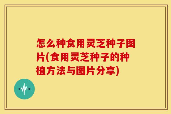 怎么种食用灵芝种子图片(食用灵芝种子的种植方法与图片分享) 怎么种食用灵芝种子图片(食用灵芝种子的种植方法与图片分享)
