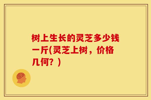 树上生长的灵芝多少钱一斤(灵芝上树,价格几何?) 树上生长的灵芝多少钱一斤(灵芝上树,价格几何?)