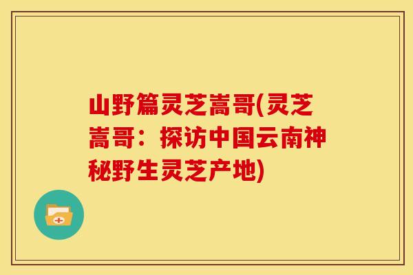 山野篇灵芝嵩哥(灵芝嵩哥：探访中国云南神秘野生灵芝产地)