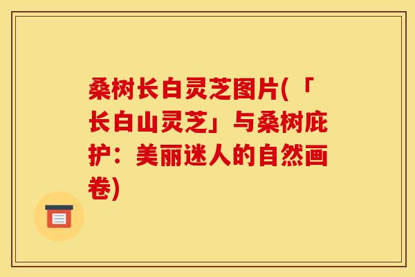 桑树长白灵芝图片(「长白山灵芝」与桑树庇护:美丽迷人的自然画卷) 桑树长白灵芝图片(「长白山灵芝」与桑树庇护:美丽迷人的自然画卷)