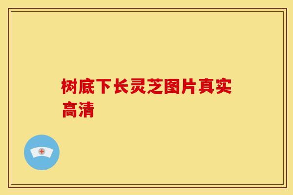 树底下长灵芝图片真实高清