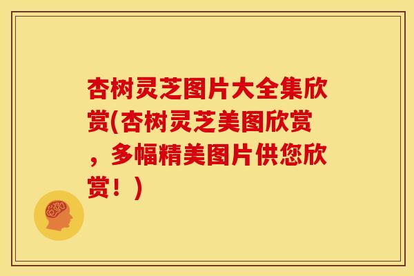 杏树灵芝图片大全集欣赏(杏树灵芝美图欣赏,多幅精美图片供您欣赏!) 杏树灵芝图片大全集欣赏(杏树灵芝美图欣赏,多幅精美图片供您欣赏!)