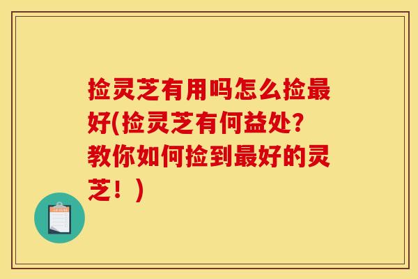 捡灵芝有用吗怎么捡好(捡灵芝有何益处?教你如何捡到好的灵芝!) 捡灵芝有用吗怎么捡好(捡灵芝有何益处?教你如何捡到好的灵芝!)