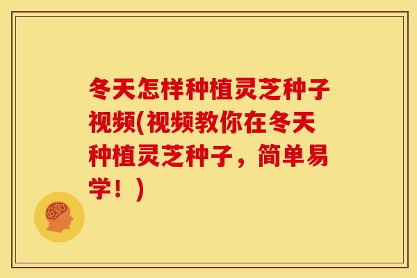 冬天怎样种植灵芝种子视频(视频教你在冬天种植灵芝种子,简单易学!) 冬天怎样种植灵芝种子视频(视频教你在冬天种植灵芝种子,简单易学!)