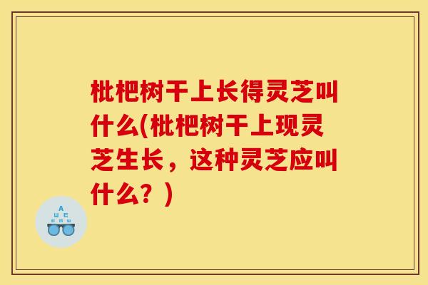 枇杷树干上长得灵芝叫什么(枇杷树干上现灵芝生长,这种灵芝应叫什么?) 枇杷树干上长得灵芝叫什么(枇杷树干上现灵芝生长,这种灵芝应叫什么?)