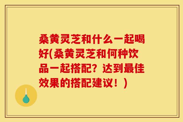 桑黄灵芝和什么一起喝好(桑黄灵芝和何种饮品一起搭配?达到佳效果的搭配建议!) 桑黄灵芝和什么一起喝好(桑黄灵芝和何种饮品一起搭配?达到佳效果的搭配建议!)