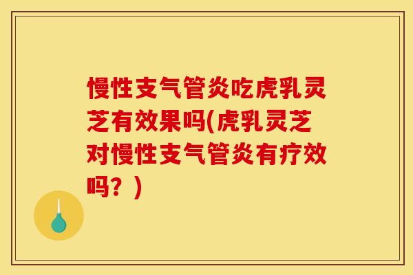 慢性吃虎乳灵芝有效果吗(虎乳灵芝对慢性有疗效吗？)