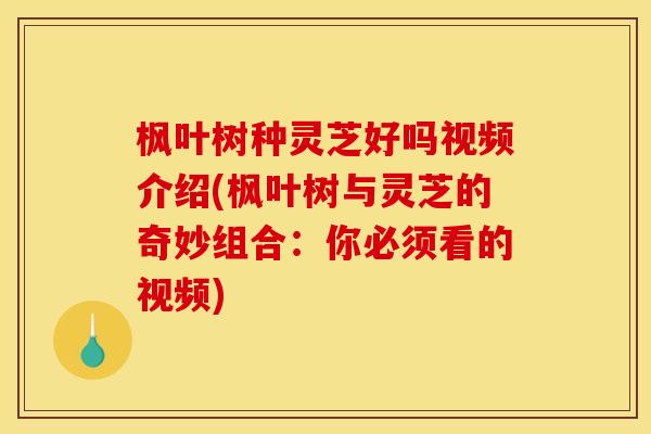 枫叶树种灵芝好吗视频介绍(枫叶树与灵芝的奇妙组合：你必须看的视频)