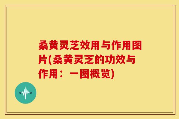 桑黄灵芝效用与作用图片(桑黄灵芝的功效与作用：一图概览)