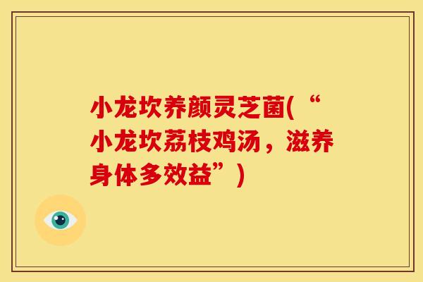 小龙坎养颜灵芝菌(“小龙坎荔枝鸡汤,滋养身体多效益”) 小龙坎养颜灵芝菌(“小龙坎荔枝鸡汤,滋养身体多效益”)
