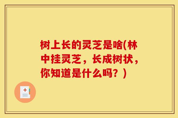 树上长的灵芝是啥(林中挂灵芝,长成树状,你知道是什么吗?) 树上长的灵芝是啥(林中挂灵芝,长成树状,你知道是什么吗?)