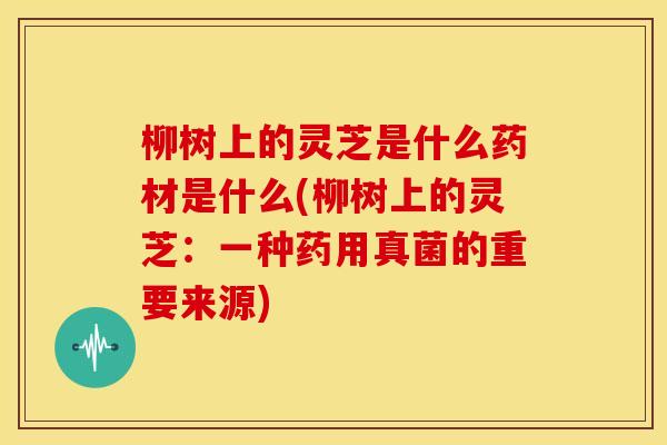 柳树上的灵芝是什么药材是什么(柳树上的灵芝:一种药用真菌的重要来源) 柳树上的灵芝是什么药材是什么(柳树上的灵芝:一种药用真菌的重要来源)