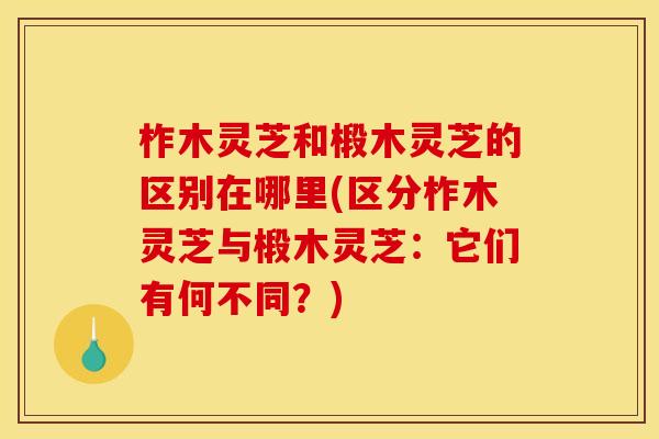柞木灵芝和椴木灵芝的区别在哪里(区分柞木灵芝与椴木灵芝:它们有何不同?) 柞木灵芝和椴木灵芝的区别在哪里(区分柞木灵芝与椴木灵芝:它们有何不同?)