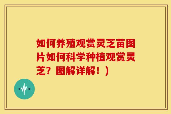 如何养殖观赏灵芝苗图片如何科学种植观赏灵芝?图解详解!) 如何养殖观赏灵芝苗图片如何科学种植观赏灵芝?图解详解!)