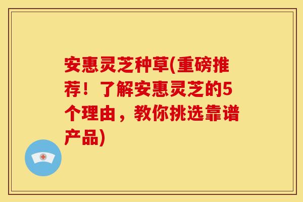 安惠灵芝种草(重磅推荐!了解安惠灵芝的5个理由,教你挑选靠谱产品) 安惠灵芝种草(重磅推荐!了解安惠灵芝的5个理由,教你挑选靠谱产品)