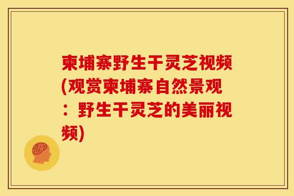 柬埔寨野生干灵芝视频(观赏柬埔寨自然景观：野生干灵芝的美丽视频)