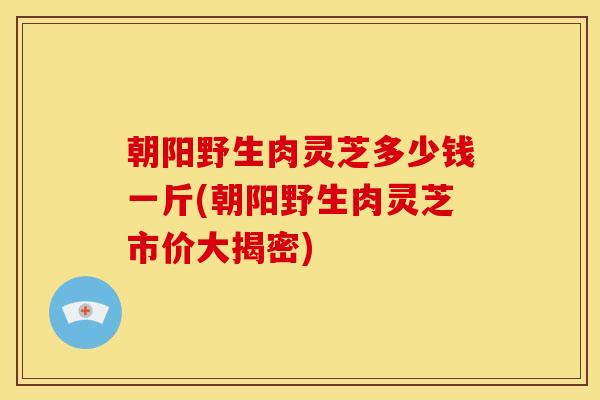 朝阳野生肉灵芝多少钱一斤(朝阳野生肉灵芝市价大揭密) 朝阳野生肉灵芝多少钱一斤(朝阳野生肉灵芝市价大揭密)