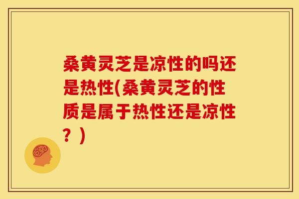 桑黄灵芝是凉性的吗还是热性(桑黄灵芝的性质是属于热性还是凉性?) 桑黄灵芝是凉性的吗还是热性(桑黄灵芝的性质是属于热性还是凉性?)