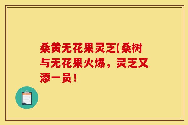 桑黄无花果灵芝(桑树与无花果火爆，灵芝又添一员！