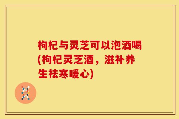 枸杞与灵芝可以泡酒喝(枸杞灵芝酒,滋补养生祛寒暖心) 枸杞与灵芝可以泡酒喝(枸杞灵芝酒,滋补养生祛寒暖心)