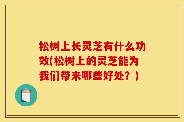 松树上长灵芝有什么功效(松树上的灵芝能为我们带来哪些好处？)