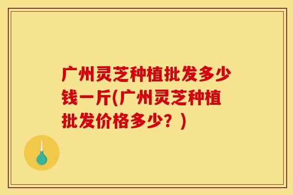广州灵芝种植批发多少钱一斤(广州灵芝种植批发价格多少?) 广州灵芝种植批发多少钱一斤(广州灵芝种植批发价格多少?)