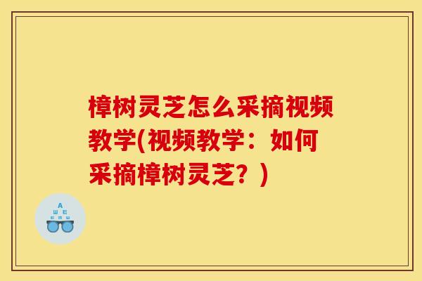 樟树灵芝怎么采摘视频教学(视频教学:如何采摘樟树灵芝?) 樟树灵芝怎么采摘视频教学(视频教学:如何采摘樟树灵芝?)