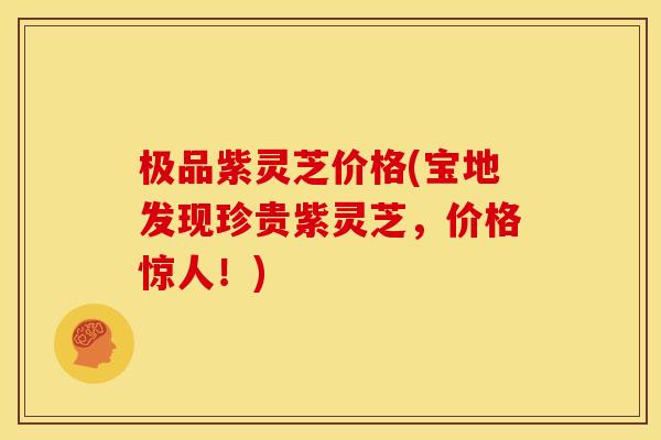 极品紫灵芝价格(宝地发现珍贵紫灵芝，价格惊人！)