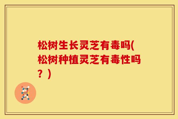 松树生长灵芝有毒吗(松树种植灵芝有毒性吗?) 松树生长灵芝有毒吗(松树种植灵芝有毒性吗?)