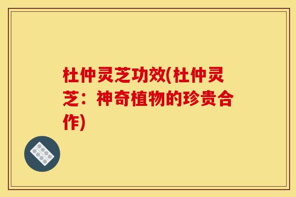 杜仲灵芝功效(杜仲灵芝：神奇植物的珍贵合作)