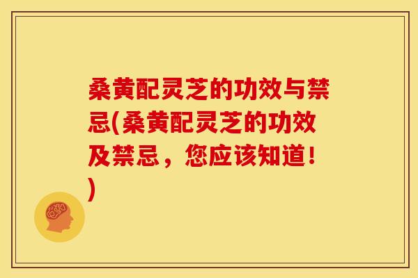 桑黄配灵芝的功效与禁忌(桑黄配灵芝的功效及禁忌,您应该知道!) 桑黄配灵芝的功效与禁忌(桑黄配灵芝的功效及禁忌,您应该知道!)