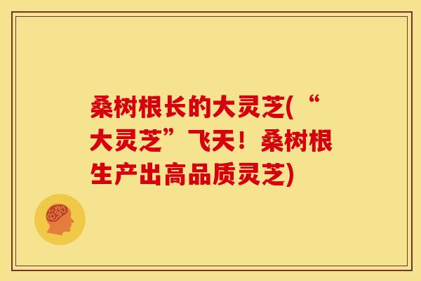 桑树根长的大灵芝(“大灵芝”飞天!桑树根生产出高品质灵芝) 桑树根长的大灵芝(“大灵芝”飞天!桑树根生产出高品质灵芝)