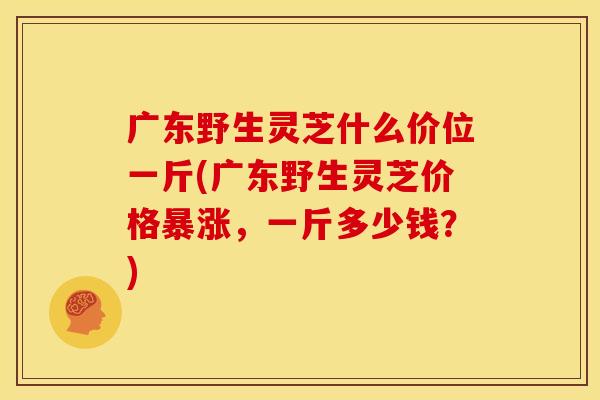 广东野生灵芝什么价位一斤(广东野生灵芝价格暴涨,一斤多少钱?) 广东野生灵芝什么价位一斤(广东野生灵芝价格暴涨,一斤多少钱?)