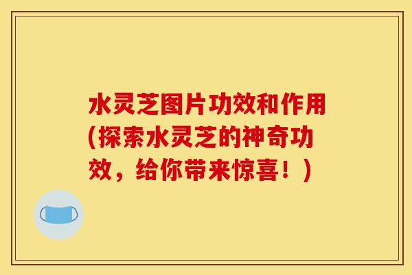 水灵芝图片功效和作用(探索水灵芝的神奇功效,给你带来惊喜!) 水灵芝图片功效和作用(探索水灵芝的神奇功效,给你带来惊喜!)