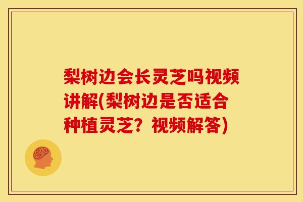 梨树边会长灵芝吗视频讲解(梨树边是否适合种植灵芝？视频解答)