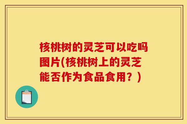 核桃树的灵芝可以吃吗图片(核桃树上的灵芝能否作为食品食用?) 核桃树的灵芝可以吃吗图片(核桃树上的灵芝能否作为食品食用?)