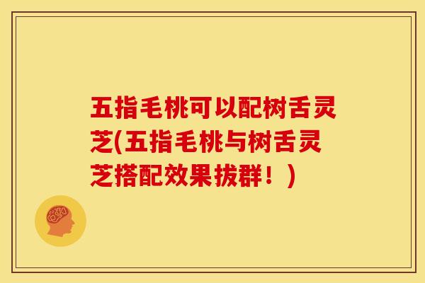 五指毛桃可以配树舌灵芝(五指毛桃与树舌灵芝搭配效果拔群!) 五指毛桃可以配树舌灵芝(五指毛桃与树舌灵芝搭配效果拔群!)