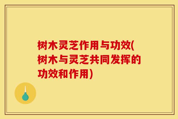 树木灵芝作用与功效(树木与灵芝共同发挥的功效和作用) 树木灵芝作用与功效(树木与灵芝共同发挥的功效和作用)