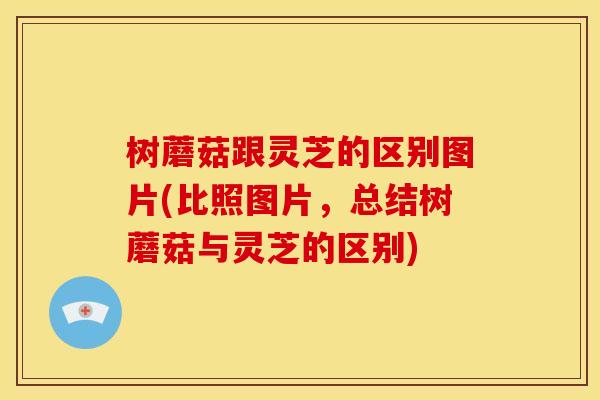 树蘑菇跟灵芝的区别图片(比照图片,总结树蘑菇与灵芝的区别) 树蘑菇跟灵芝的区别图片(比照图片,总结树蘑菇与灵芝的区别)