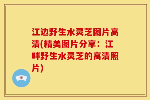 江边野生水灵芝图片高清(精美图片分享:江畔野生水灵芝的高清照片) 江边野生水灵芝图片高清(精美图片分享:江畔野生水灵芝的高清照片)