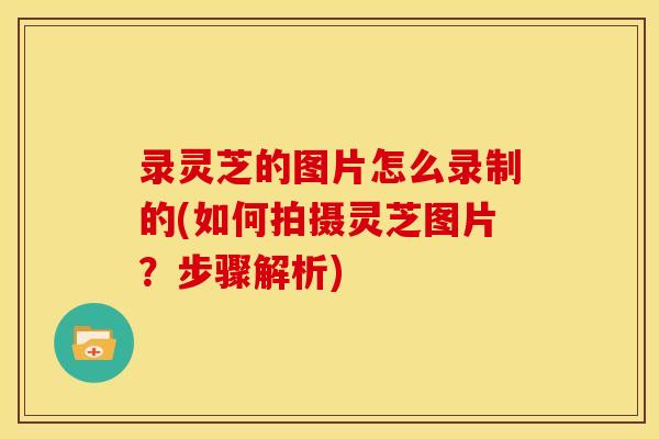 录灵芝的图片怎么录制的(如何拍摄灵芝图片?步骤解析) 录灵芝的图片怎么录制的(如何拍摄灵芝图片?步骤解析)